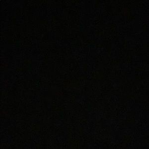 Meet your Posher, Jacqueline